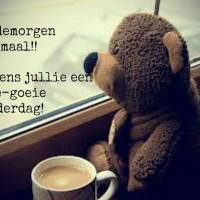 Goedemorgen...