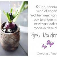 Koude, sneeuw, wind...