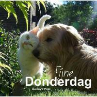 Fijne Donderdag