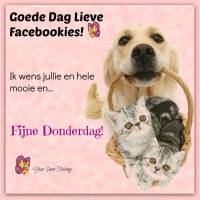 Goede Dag Lieve...