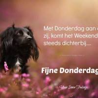 Met Donderdag aan...