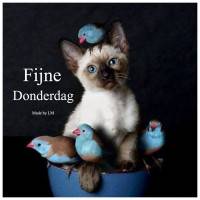 Fijne Donderdag