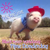 Kiekeboe, Mooi weer...