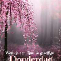 Wens je een fijne...