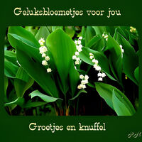 Geluksbloemetjes...