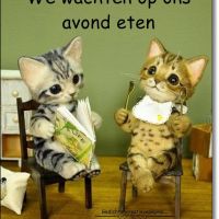 We wachten op ons...