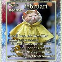 Wees gegroet...