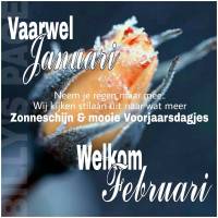 Vaarwel januari Neem...