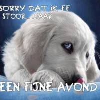 Sorry dat ik ff...