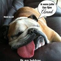 Just Relax Ik wens...