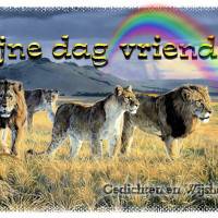Fijne dag vrienden