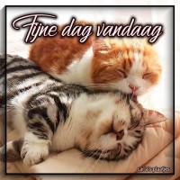 Fijne dag vandaag
