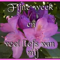 Fijne week en...