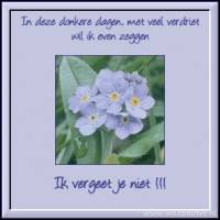 In deze donkere...