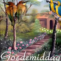 Kleurrijke vogels verwelkomen de middag op een vredige plek in de natuur.