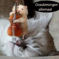 Goedemorgen allemaal