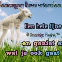 Goedemorgen lieve...