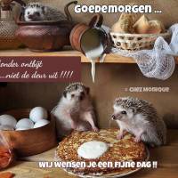 Goedemorgen...