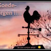 Goede morgen !!!