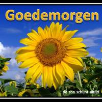 Goedemorgen