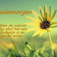 Goedemorgen Open de...