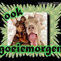 Ook goeiemorgen