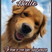 Hallo. Ik kom je een...