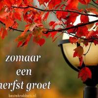 Herfstkleuren verlicht door een oude lantaarn, een moment van stilte en schoonheid.