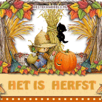 Een vrolijke herfstscène met een klein meisje tussen de pompoenen en herfstbladeren, perfect om de komst van de herfst te vieren.