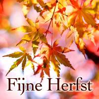 Fijne Herfst