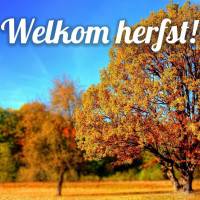 Welkom Herfst!