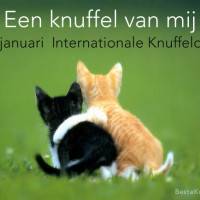 Een knuffel van mij...