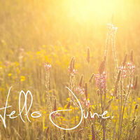 Hello June