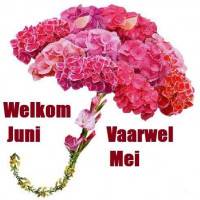 Welkom Juni, Vaarwel...