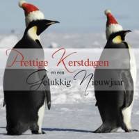 Prettige Kerstdagen...