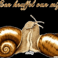 Twee slakken die elkaar omhelzen met de tekst 'Een knuffel van mij' in gouden letters erboven