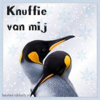 Twee pinguïns delen een liefdevol moment in een sneeuwvlokken gevulde wereld.