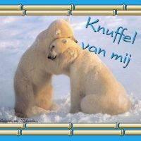 Twee ijsberen knuffelen elkaar in de sneeuw, met de tekst 'Knuffel van mij'