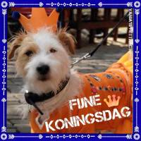 Fijne Koningsdag