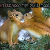 Een kus voor mijn...