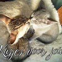 Kusjes voor jou.