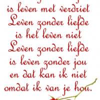 Leven zonder liefde...