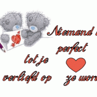 Niemand is perfect...