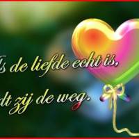 Als de liefde echt...