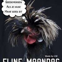 Goedemorgen als je...