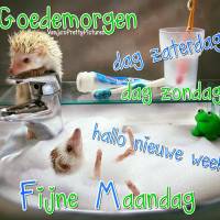 Goedemorgen dag...