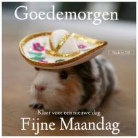 Goedemorgen Klaar...