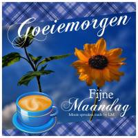 Goeiemorgen Fijne...