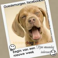 Goedemorgen...