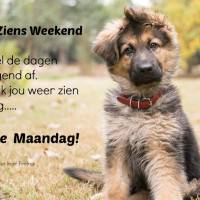 Tot ziens weekend Ik...